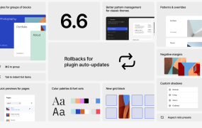 WordPress 6.6 版本发布，新增自动更新插件回滚选项 - 鹿泽笔记