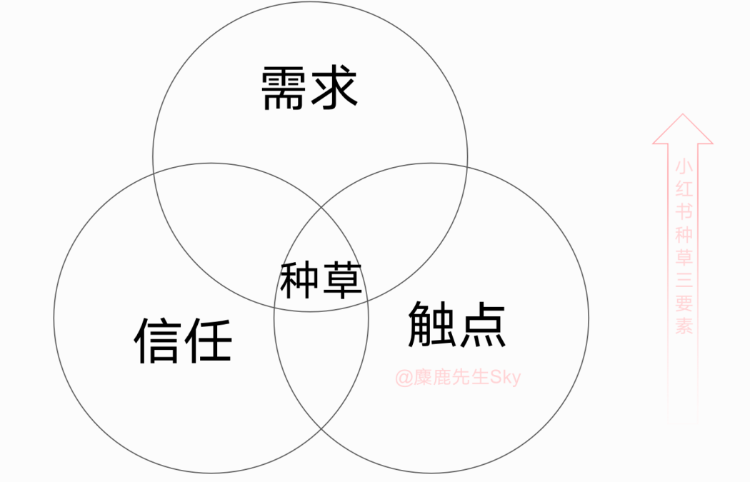 企业品牌方搭建小红书种草内容体系的方法 - 鹿泽笔记