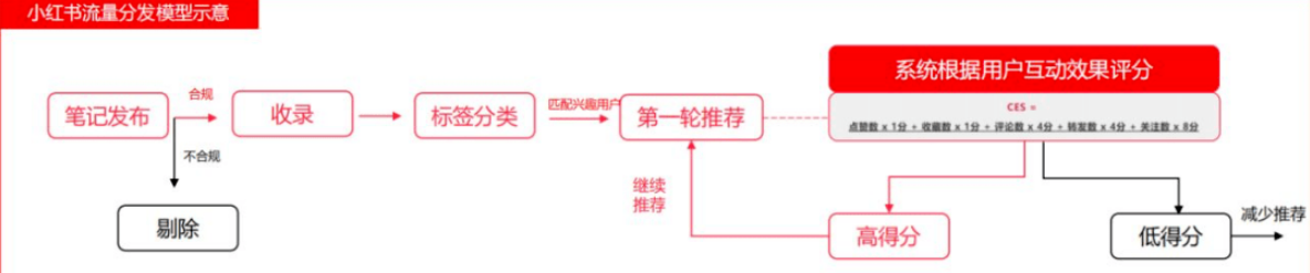 小红书营销策略流量分发逻辑（CES评分流量分发模型）解析 - 鹿泽笔记